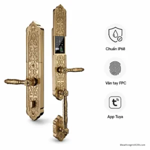 Khóa Cửa Đại Sảnh Hubert HB DS79 Gold