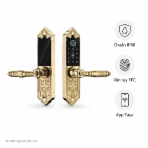 Khóa Cửa Đại Sảnh Hubert HB DS79 Gold Mini
