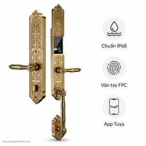 Khóa Cửa Đại Sảnh Hubert HB DSI8 EU Gold 24K